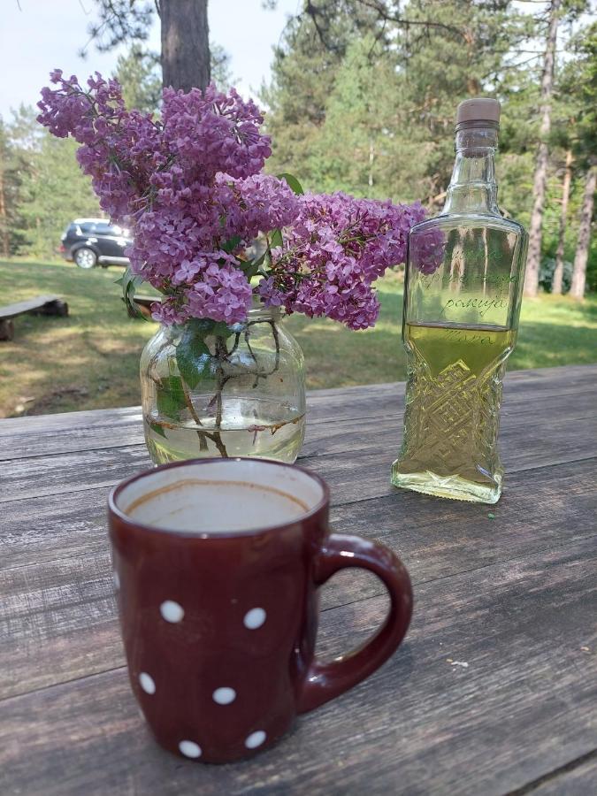 Rustic Home Tara Kaludjerske Bare Εξωτερικό φωτογραφία