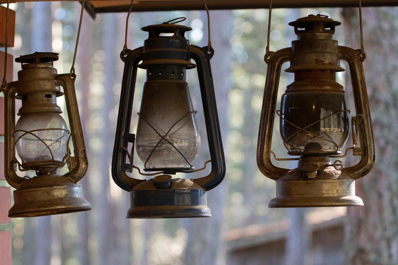 Rustic Home Tara Kaludjerske Bare Εξωτερικό φωτογραφία