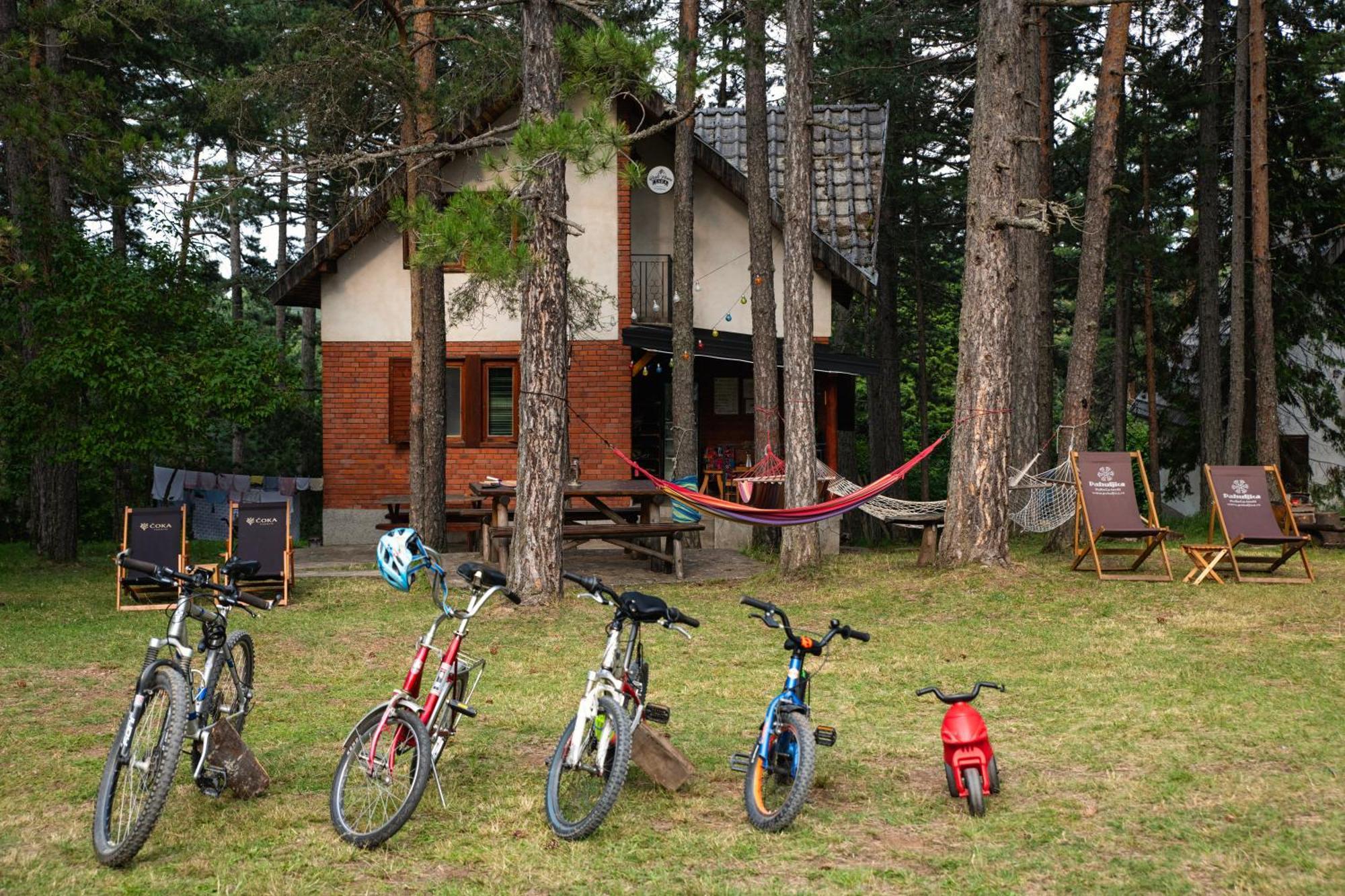 Rustic Home Tara Kaludjerske Bare Εξωτερικό φωτογραφία