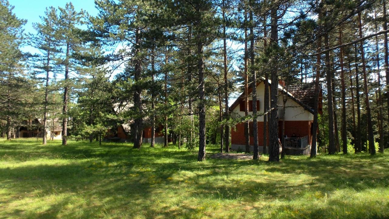 Rustic Home Tara Kaludjerske Bare Εξωτερικό φωτογραφία